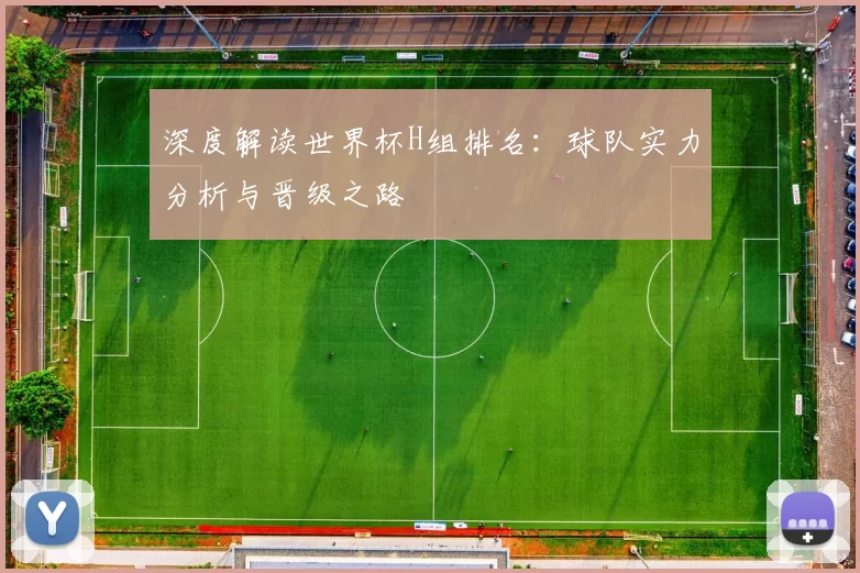 深度解读世界杯H组排名:球队实力分析与晋级之路