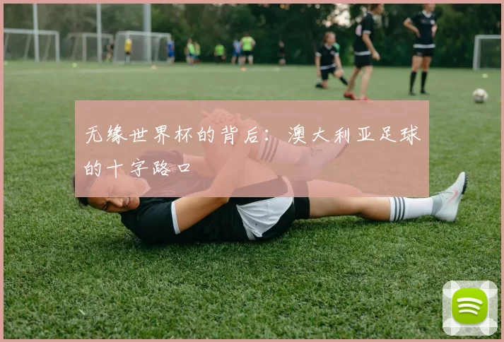 无缘世界杯的背后:澳大利亚足球的十字路口