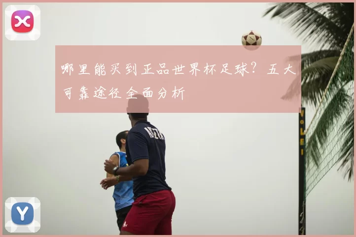 哪里能买到正品世界杯足球?五大可靠途径全面分析
