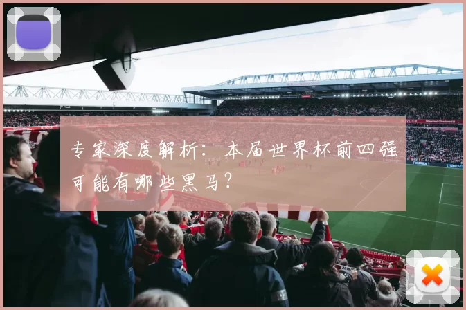 专家深度解析:本届世界杯前四强可能有哪些黑马?