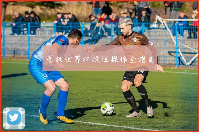 手机世界杯投注操作全指南