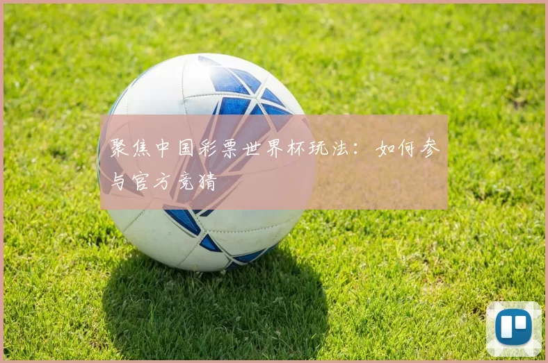 聚焦中国彩票世界杯玩法:如何参与官方竞猜