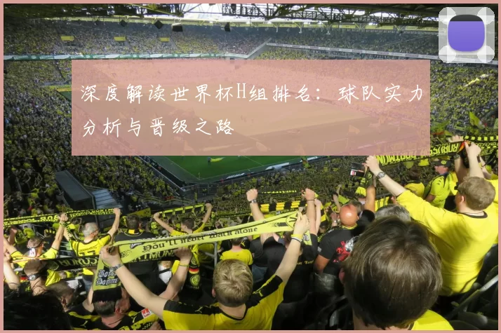 深度解读世界杯H组排名:球队实力分析与晋级之路