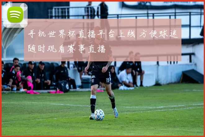 手机世界杯直播平台上线 方便球迷随时观看赛事直播