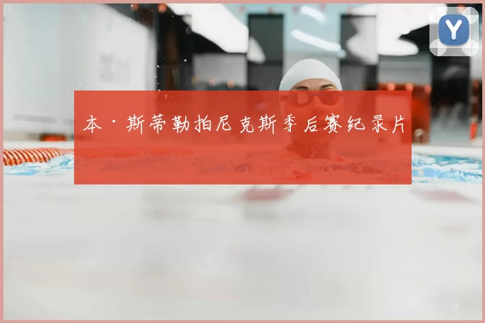 本·斯蒂勒拍尼克斯季后赛纪录片