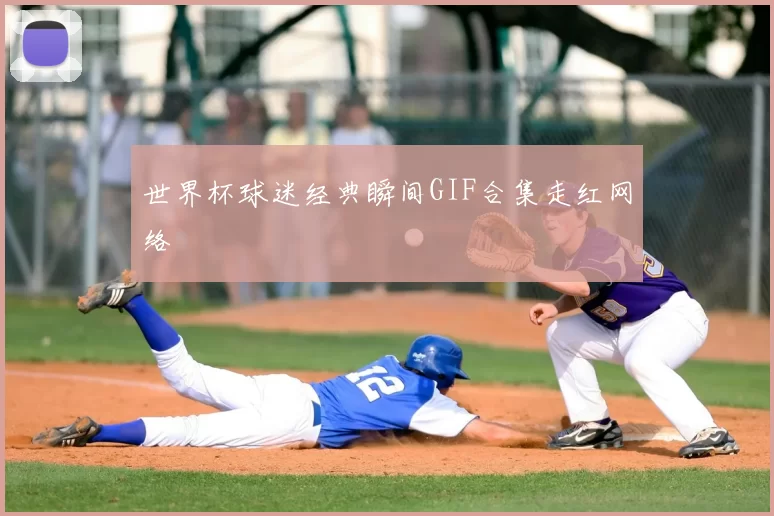 世界杯球迷经典瞬间GIF合集走红网络