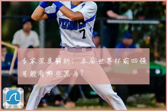 专家深度解析:本届世界杯前四强可能有哪些黑马?