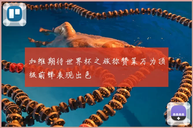 加维期待世界杯之旅称赞莱万为顶级前锋表现出色