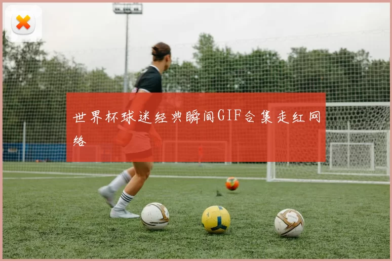 世界杯球迷经典瞬间GIF合集走红网络