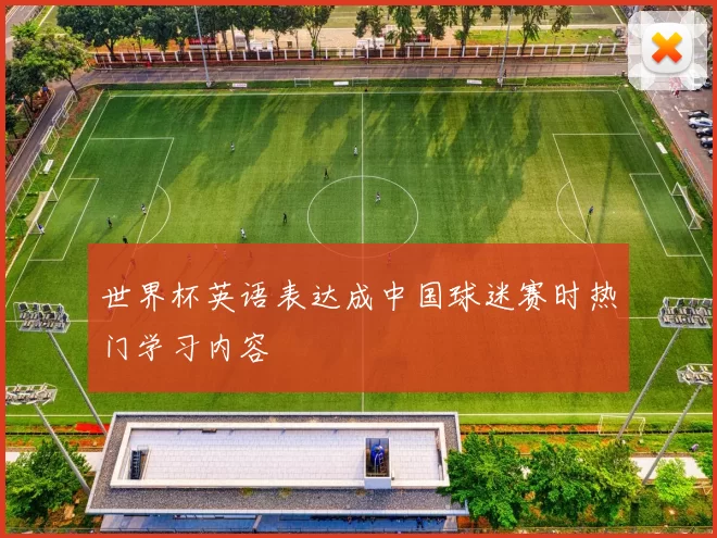 世界杯英语表达成中国球迷赛时热门学习内容