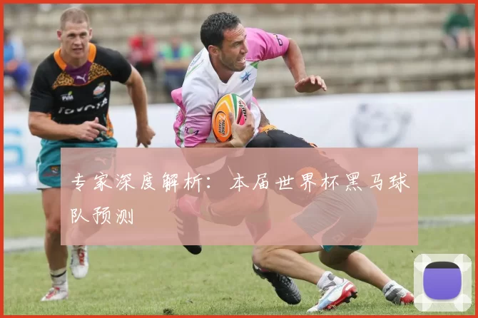 专家深度解析：本届世界杯黑马球队预测