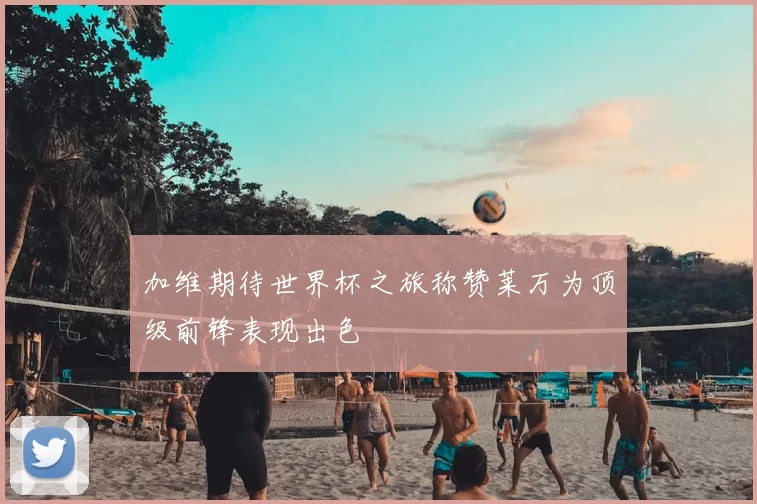 加维期待世界杯之旅称赞莱万为顶级前锋表现出色