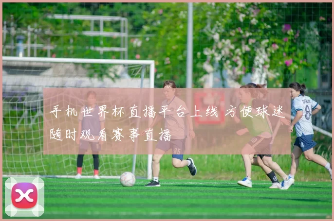 手机世界杯直播平台上线 方便球迷随时观看赛事直播